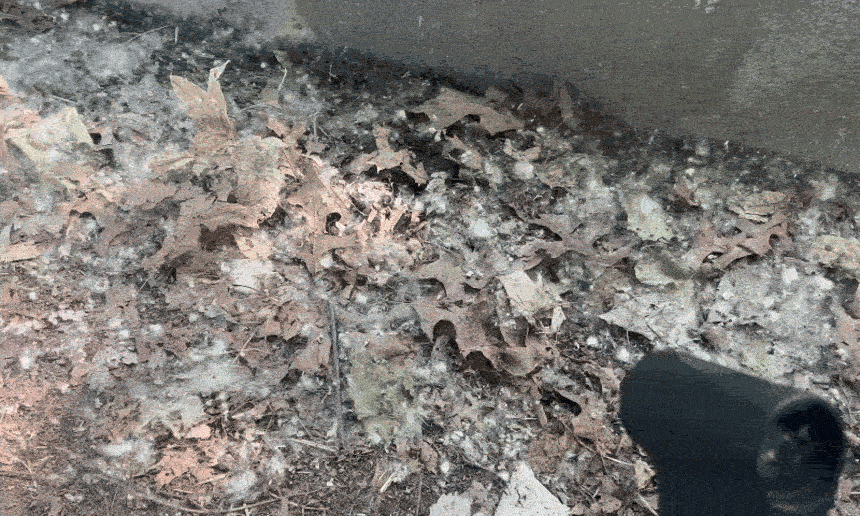 e4723d1339e45392b7834968ecb162a5_1783576383_0434.gif