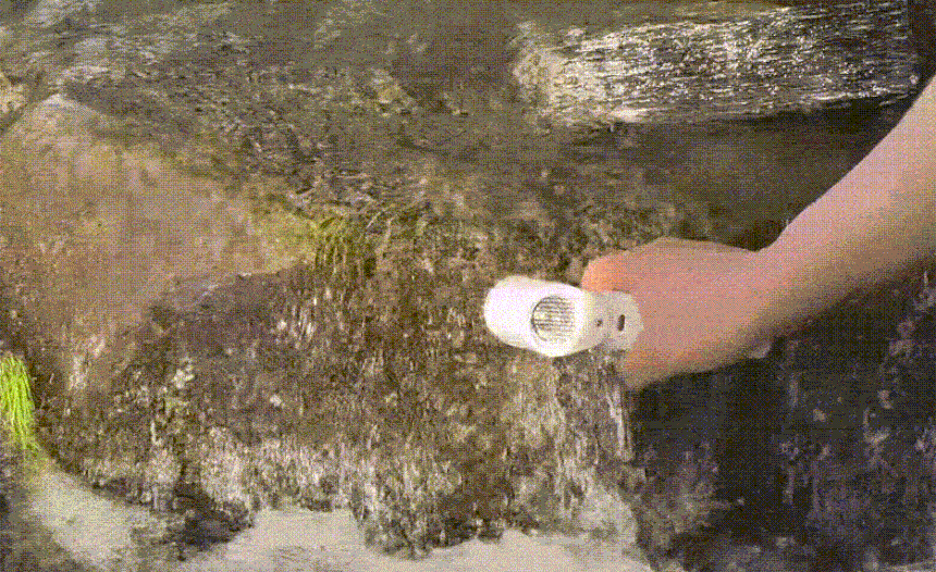 e4723d1339e45392b7834968ecb162a5_1783576410_534.gif