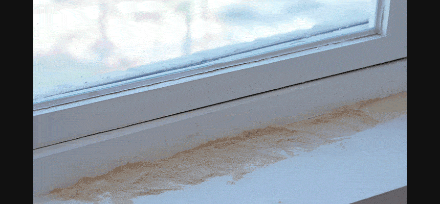 e4723d1339e45392b7834968ecb162a5_1783576452_9.gif